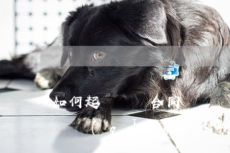 如何起訴買賣合同糾紛(買賣合同糾紛駁回訴訟請(qǐng)求判決書)