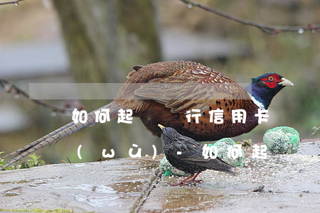 如何起訴銀行信用卡辦辦分期業(yè)務(wù)-如何起訴銀行信用卡辦辦分期業(yè)務(wù)呢