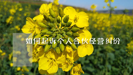 如何起诉个人合伙经营纠纷