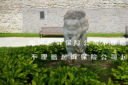 如何起诉保险公司不理赔,如何起诉保险公司不理赔起诉保险公司起诉诉状 如何起诉保险公司不理赔,如何起诉保险公司不理赔起诉保险公司起诉诉状