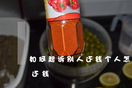如何起诉别人还钱，个人怎么向法院起诉别人还钱