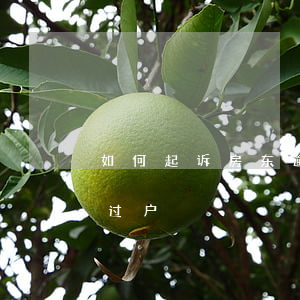 如何起诉房东逾期过户-如何起诉房东逾期过户