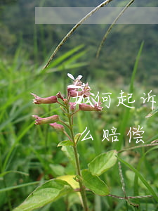 如何起诉房开逾期交房-开发商逾期交房怎么赔偿