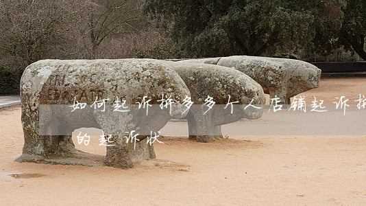 如何起诉拼多多个人店铺(起诉拼多多及商家的起诉状)