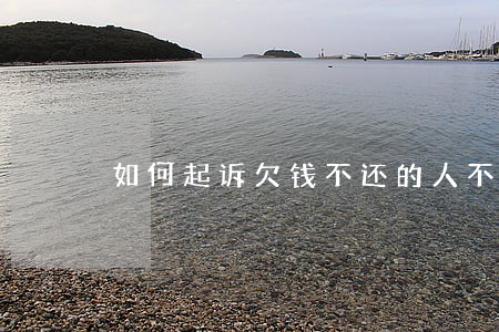 如何起诉欠钱不还的人(不还钱怎么起诉他)