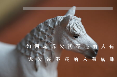 如何起诉欠钱不还的人有转账记录-如何起诉欠钱不还的人有转账记录呢