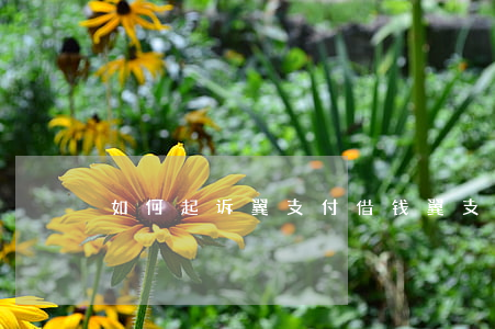 如何起诉翼支付借钱(翼支付网贷投诉电话)
