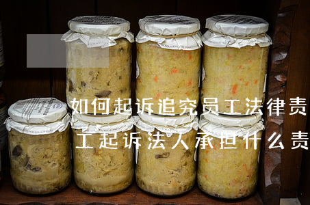 如何起诉追究员工法律责任(公司拖欠工资员工起诉法人承担什么责任)