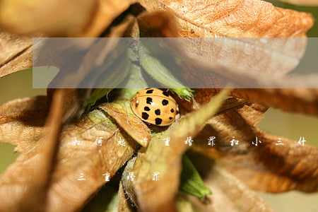 如何起诉重婚罪和小三(什么情况下可以告小三重婚罪)