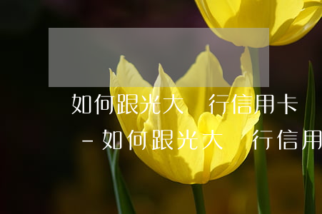 如何跟光大銀行信用卡協(xié)商還款-如何跟光大銀行信用卡協(xié)商還款電話