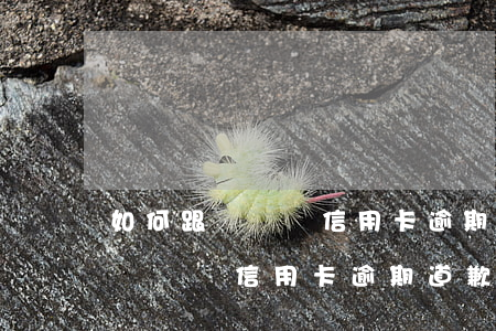 如何跟媽媽說信用卡逾期道歉的事-如何跟媽媽說信用卡逾期道歉的事情
