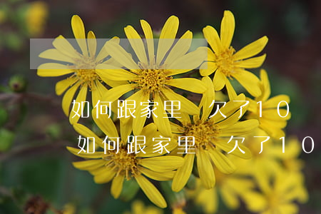 如何跟家里說欠了10萬網(wǎng)貸(如何跟家里說欠了10萬網(wǎng)貸)