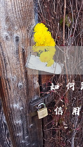 如何跟工商銀行信用卡協(xié)商（工行信用卡如何協(xié)商）
