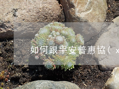 如何跟平安普惠協(xié)商停息掛賬