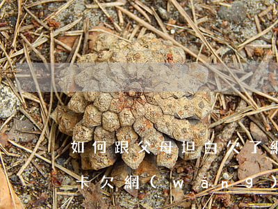如何跟父母坦白欠了網(wǎng)貸信用卡(欠網(wǎng)貸怎樣向父母坦白)