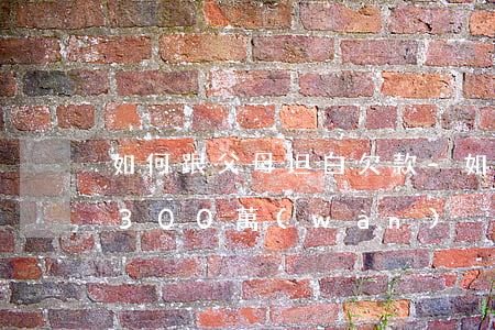 如何跟父母坦白欠款-如何跟父母坦白欠款300萬(wàn)