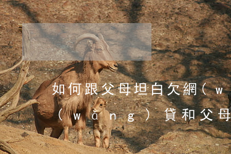 如何跟父母坦白欠網(wǎng)貸(欠了網(wǎng)貸和父母坦白)