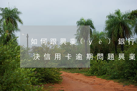 如何跟興業(yè)銀行協(xié)商解決信用卡逾期問題（興業(yè)銀行信用卡逾期半年協(xié)商）