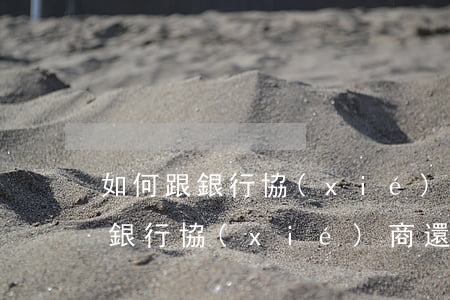 如何跟銀行協(xié)商個性化還款(工商銀行協(xié)商還款技巧)