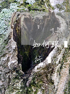 如何跟銀行協(xié)商停息-怎么和銀行協(xié)商暫停還款