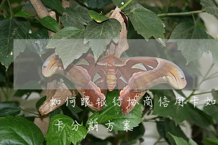 如何跟银行协商信用卡(如何跟银行协商信用卡分期方案)