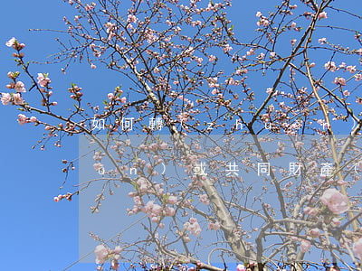 如何轉(zhuǎn)換為個人財產(chǎn)或共同財產(chǎn)