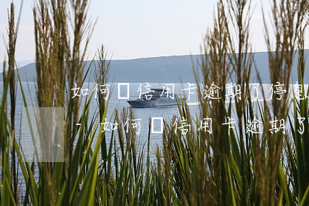 如何辦信用卡逾期了停息掛賬業(yè)務-如何辦信用卡逾期了停息掛賬業(yè)務呢