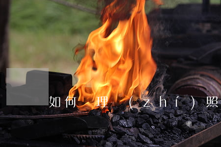 如何辦理執(zhí)照