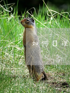 如何辦理宅基地(如何辦理宅基地確權)