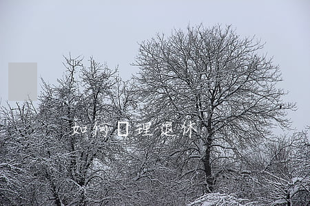 如何辦理退休