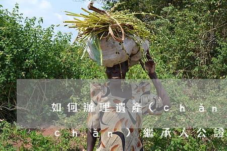 如何辦理遺產(chǎn)繼承公證(遺產(chǎn)繼承人公證書怎么辦理)