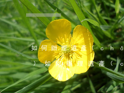 如何辦理遺產(chǎn)繼承手續(xù)(如何辦理遺產(chǎn)繼承手續(xù))