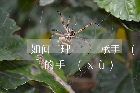 如何辦理遺產繼承手續(xù)(繼承房產遺產的手續(xù))