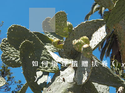 如何辦理遺贈扶養(yǎng)協(xié)議公證
