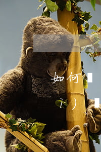 如何辦資質(zhì)證書（建筑資質(zhì)證書怎么轉(zhuǎn)讓）