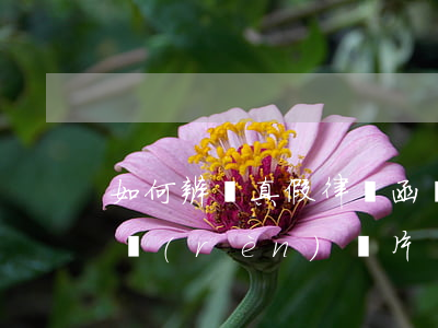 如何辨別真假律師函圖片(律師函真假怎么辨認(rèn)圖片)