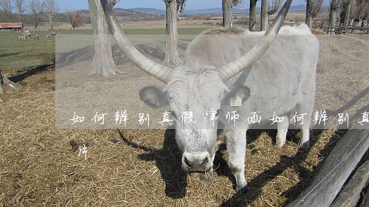 如何辨别真假律师函,如何辨别真假律师函图片 如何辨别真假律师函,如何辨别真假律师函图片