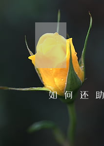 如何还助学贷款逾期利息