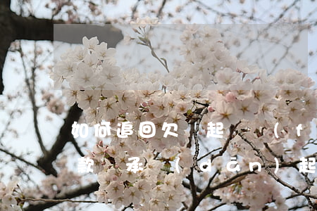 如何追回欠錢起訴費(fèi)(起訴追回欠款誰承擔(dān)起訴費(fèi))