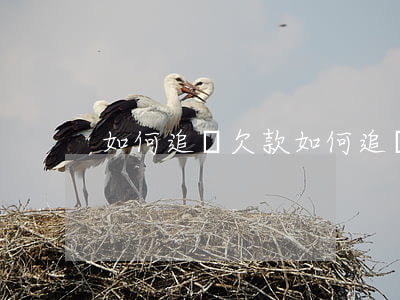如何追討欠款(如何追討欠款?)