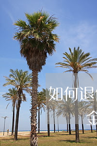 如何退信用卡逾期違約金(信用卡可以申請退違約金嗎)