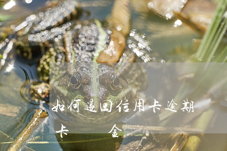 如何退回信用卡逾期違約金(起訴銀行退信用卡違約金)