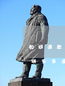 如何退款退貨拼多多(怎樣申請(qǐng)拼多多退款退貨)