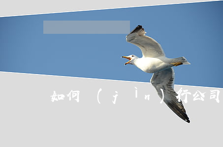 如何進(jìn)行公司債券期限劃分