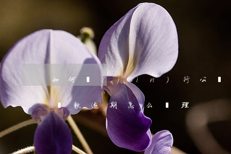 如何進(jìn)行公積金逾期還款(公積金還款逾期怎么處理)