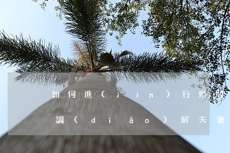 如何進(jìn)行婚姻調(diào)解(調(diào)解夫妻婚姻)