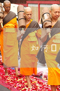 如何進(jìn)行法律訴訟(訴訟怎么訴訟)