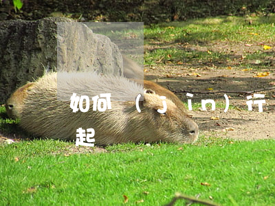 如何進(jìn)行異地訴訟(異地官司怎么起訴)