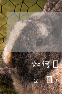 如何進行公司債權(quán)的轉(zhuǎn)讓