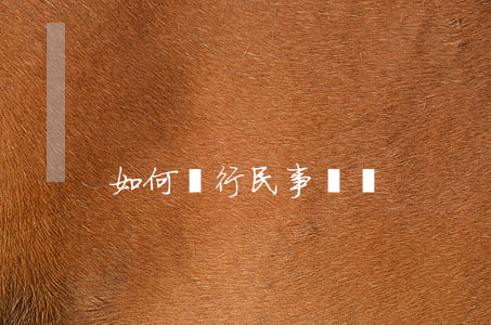 如何進行民事訴訟